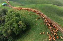 서산한우목장 웰빙산책로