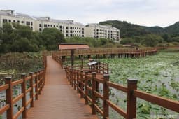 정양늪생태공원