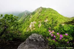 계룡산국립공원