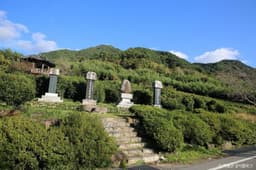 쌍계사차나무시배지