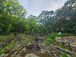 거제자연휴양림