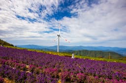 감악산항노화웰니스체험장