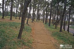 수원올림픽공원