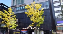 클린업피부과의원 청담