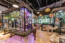 테이블에이 앤 우쥬