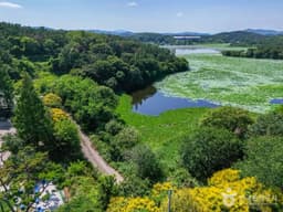 장척호와 번개늪