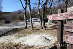 [강릉 바우길 1구간] 선자령 풍차길