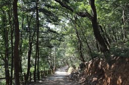 [군산 구불길] 구불3길 큰들길