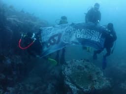 뉴서울 다이빙 풀