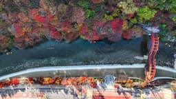 철암단풍군락지