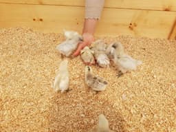 나눔농장(파주)