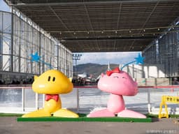 대전엑스포시민광장스케이트장