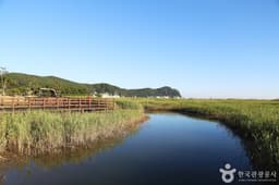 다대포생태탐방로