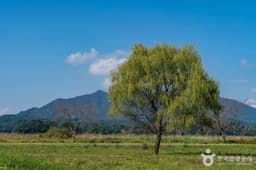 팔당물안개공원