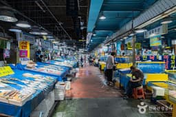 마포농수산물시장