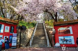 삼국지벽화거리